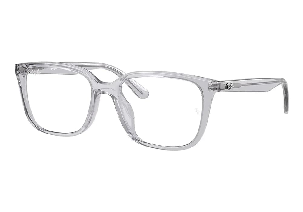 Ray-Ban RB 7248D